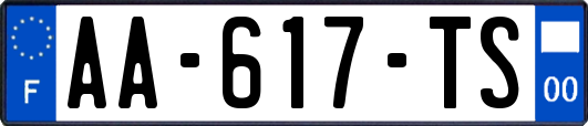 AA-617-TS