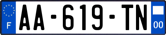 AA-619-TN