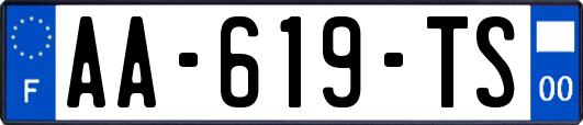 AA-619-TS