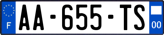 AA-655-TS