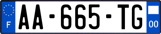 AA-665-TG