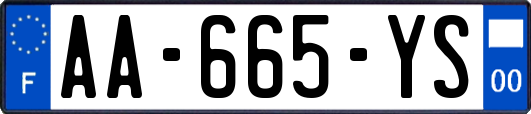 AA-665-YS