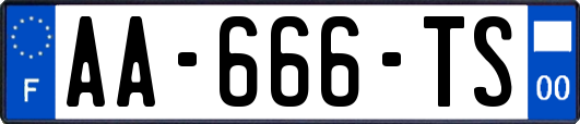 AA-666-TS