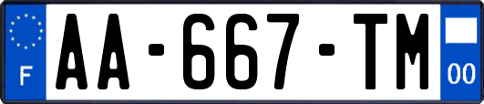 AA-667-TM