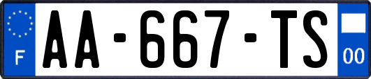 AA-667-TS