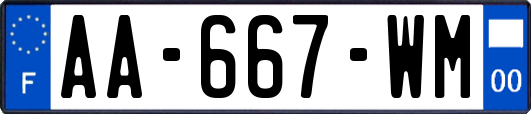 AA-667-WM