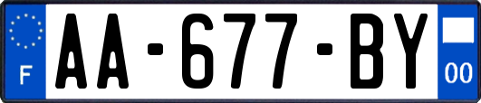 AA-677-BY