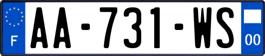 AA-731-WS