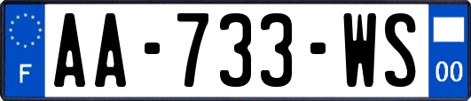 AA-733-WS