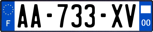 AA-733-XV