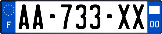 AA-733-XX