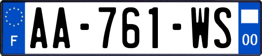 AA-761-WS