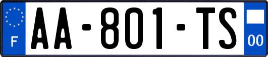 AA-801-TS