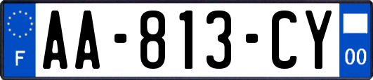 AA-813-CY