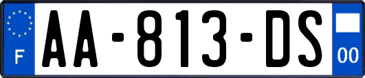 AA-813-DS