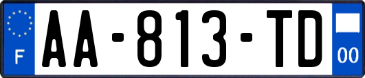 AA-813-TD