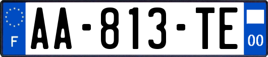 AA-813-TE