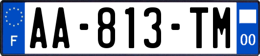 AA-813-TM