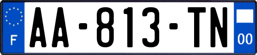 AA-813-TN