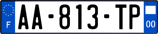 AA-813-TP