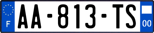 AA-813-TS