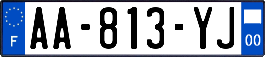 AA-813-YJ