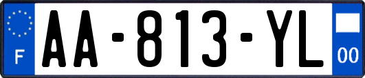 AA-813-YL