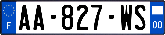 AA-827-WS