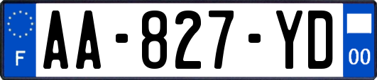 AA-827-YD