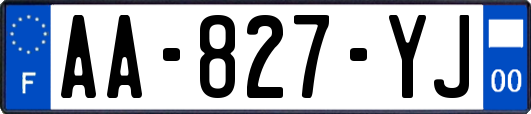 AA-827-YJ