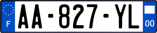 AA-827-YL