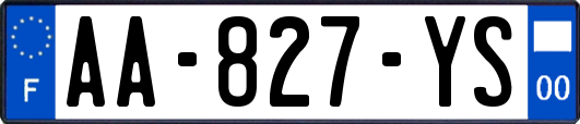 AA-827-YS