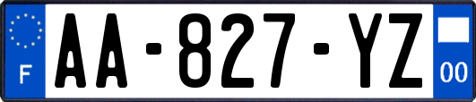 AA-827-YZ