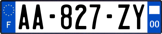 AA-827-ZY