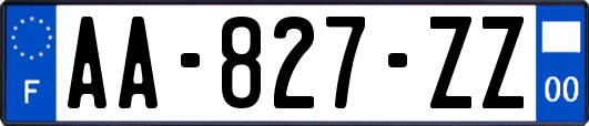 AA-827-ZZ