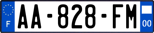 AA-828-FM