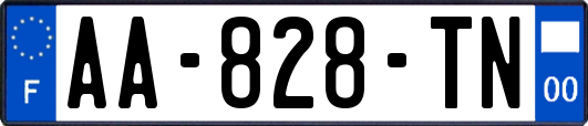 AA-828-TN