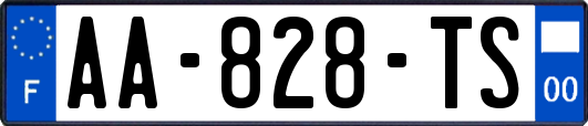 AA-828-TS