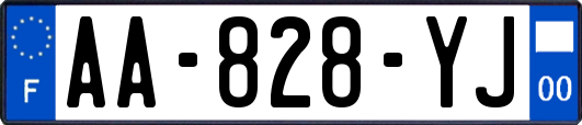 AA-828-YJ