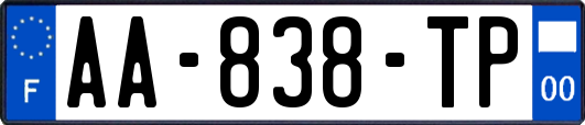 AA-838-TP