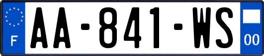 AA-841-WS