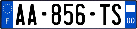 AA-856-TS