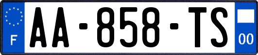 AA-858-TS