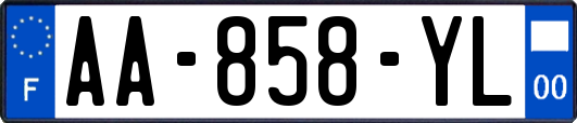 AA-858-YL