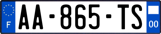 AA-865-TS