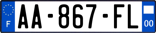 AA-867-FL