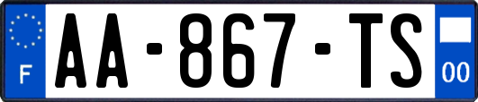 AA-867-TS