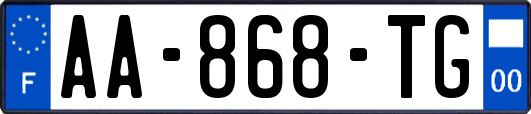 AA-868-TG