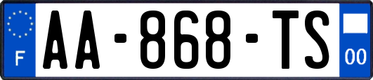 AA-868-TS