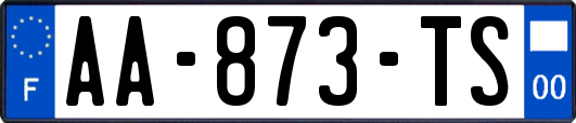 AA-873-TS